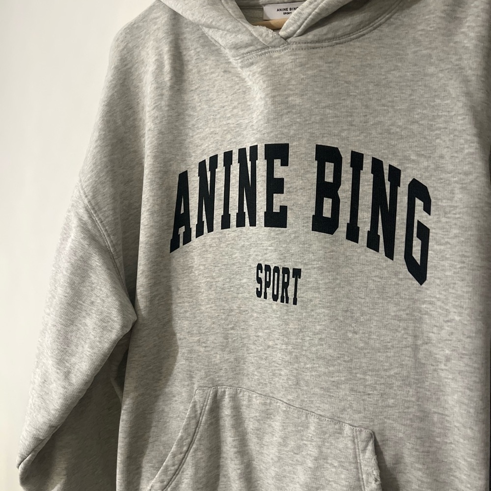 Anine Bing Light Gray Hoodie